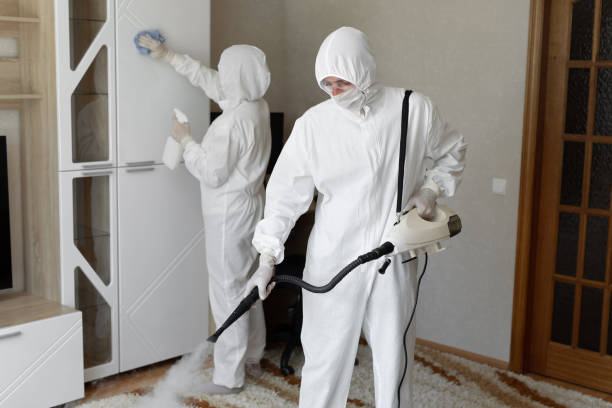 Affordable Infectious Disease Decontamination solutions in Breckenridge, MI